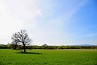 slides/DSC_0205b.JPG  DSC_0205b